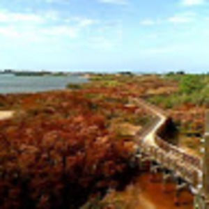 Meet your Posher, Krystal